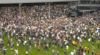 Heerlijke ontlading: Fulham en Mitrovic keren na jaar terug op hoogste niveau