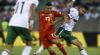Spelersbussen nationale ploeg Bulgarije botsen frontaal, één speler zwaargewond 