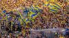 2343 tickets voor Europa League van Union: ‘Fans blijven achter zonder ticket'